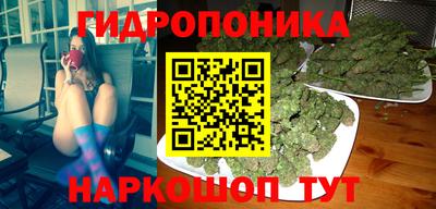 прущие грибы Северобайкальск
